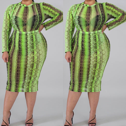 Green mesh snake skin set