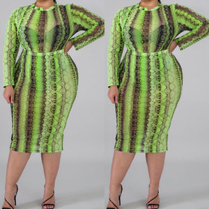 Green mesh snake skin set