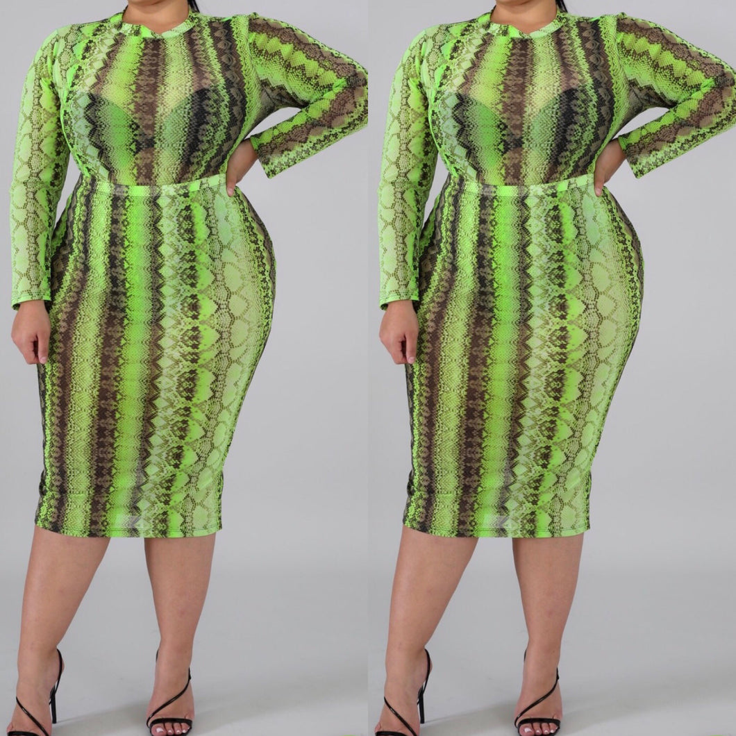 Green mesh snake skin set