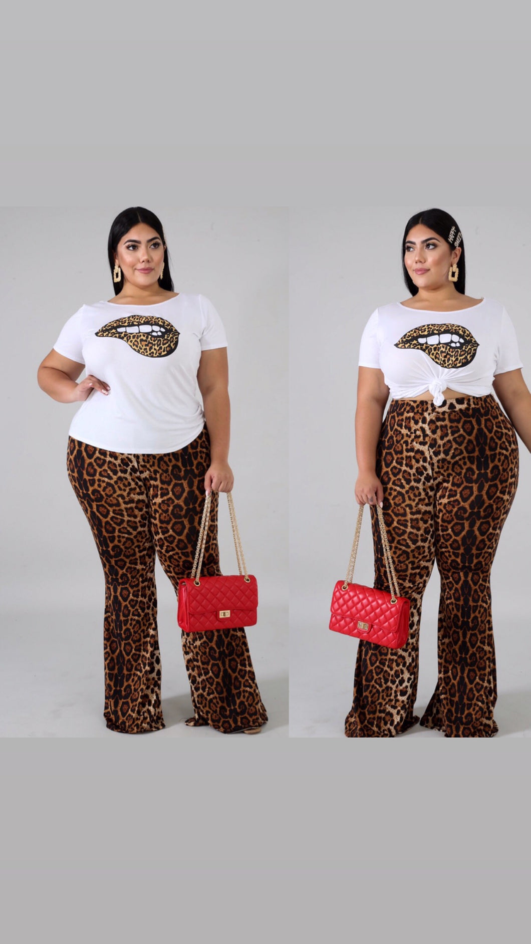 Scrumptious Cheetah Set