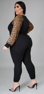 Leopard Pant Set-Black