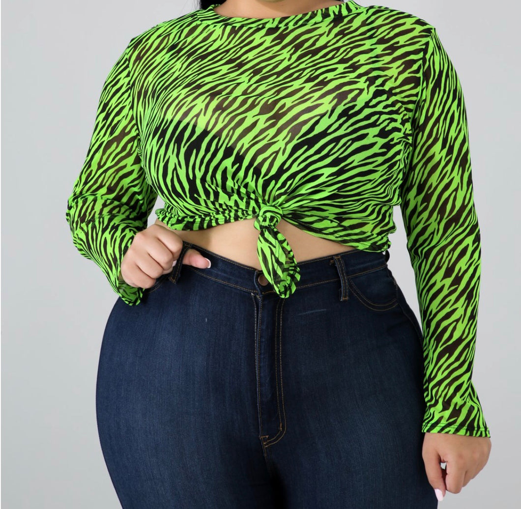 Lime Green Zebra Strip Sheer